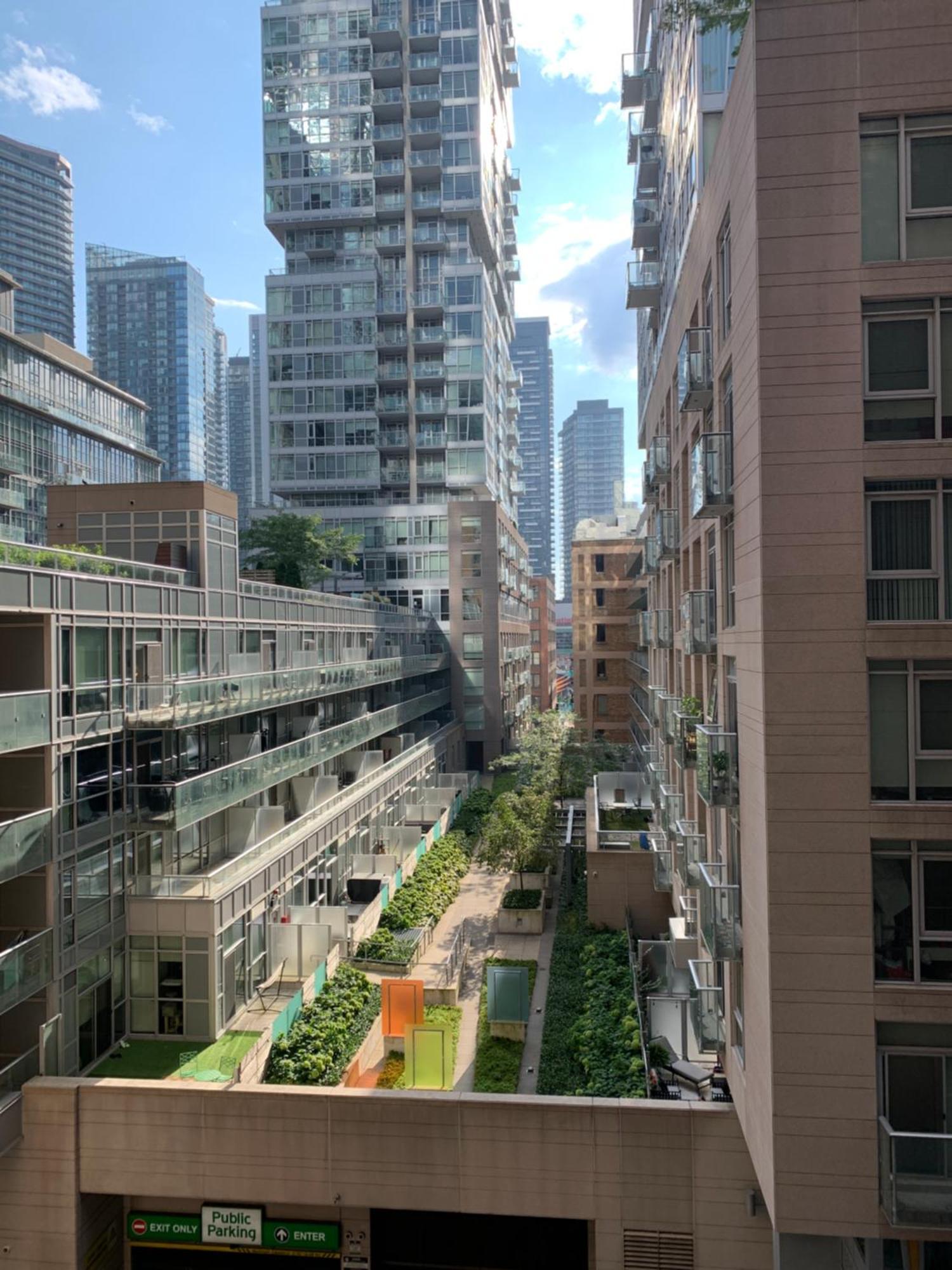 Boutique Suite Of Downtown 多伦多 外观 照片